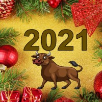 С Новым 2021 годом ! / № 361