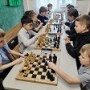 8 этап 25 Чемпионата «Сколково» по шахматам / № 510