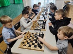 8 этап 25 Чемпионата «Сколково» по шахматам / № 510